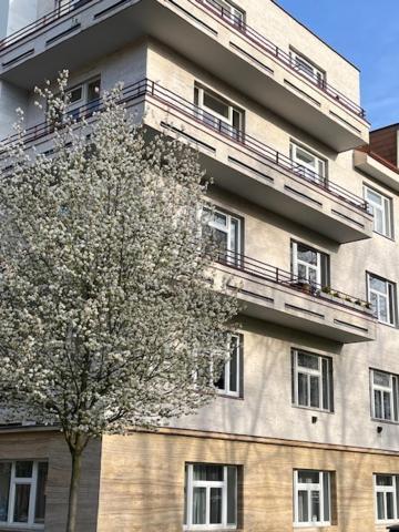 Apartma V Srdci Podebrad Poděbrady المظهر الخارجي الصورة